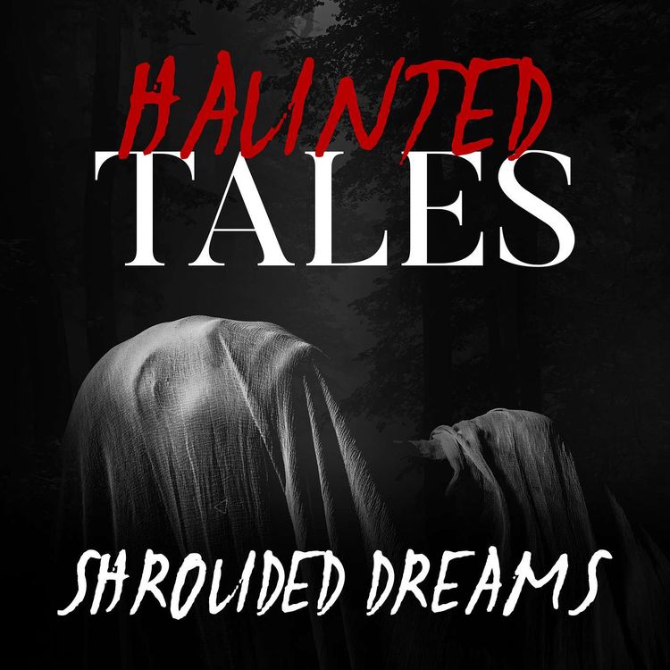 cover art for Shrouded Dreams