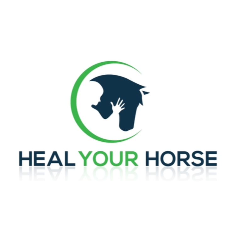 cover art for Get Good With Horses - Nika Vorster- Zoe Coade