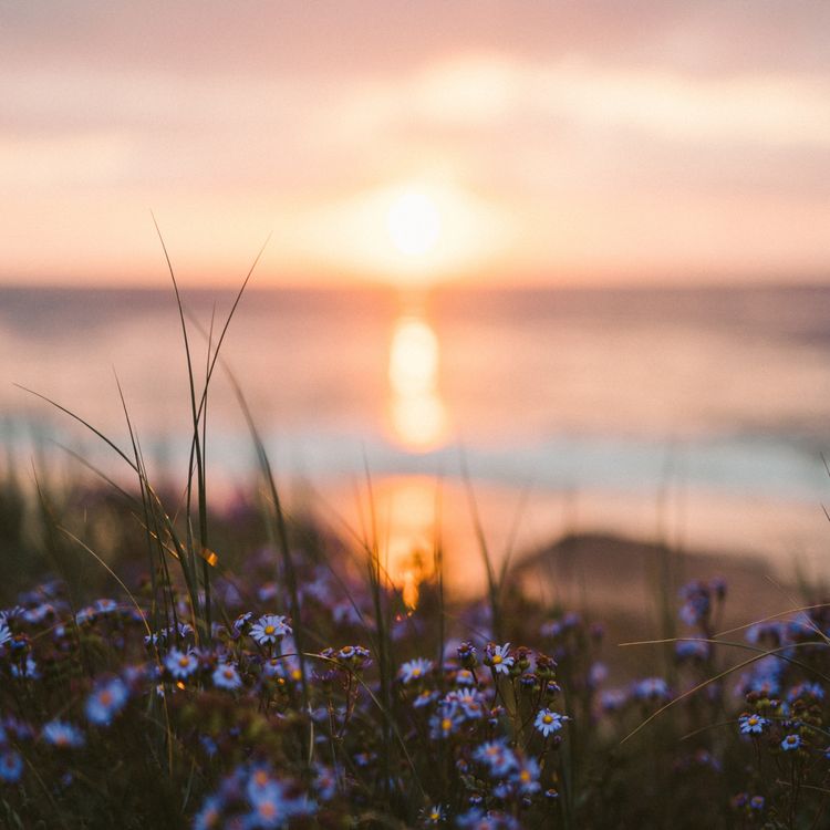 cover art for Noticing Now