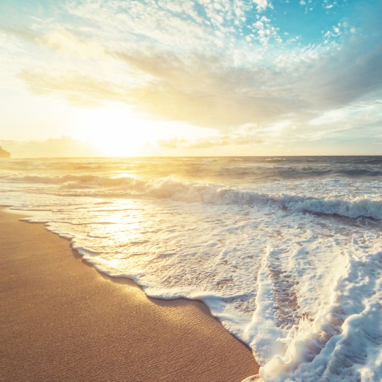 cover art for Slow and Steady Breathing Practice