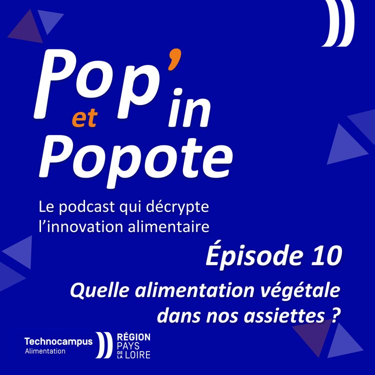 cover art for Quelle alimentation végétale dans nos assiettes ?
