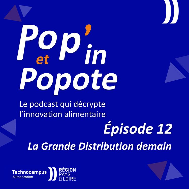 cover art for La Grande Distribution demain