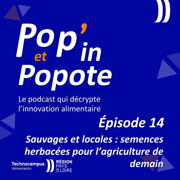 cover art for Sauvages et locales : semences herbacées pour l'agriculture de demain