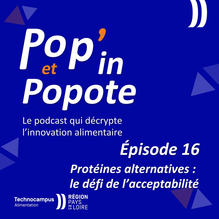 cover art for Protéines alternatives : le défi de l'acceptabilité