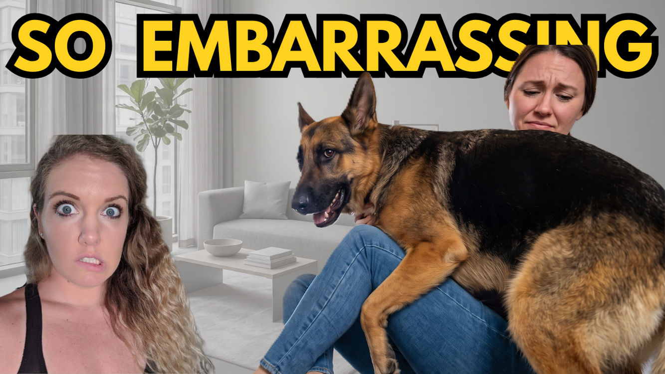 cover art for Dog Humping: What it Actually Means when a Dog Humps (science explained)
