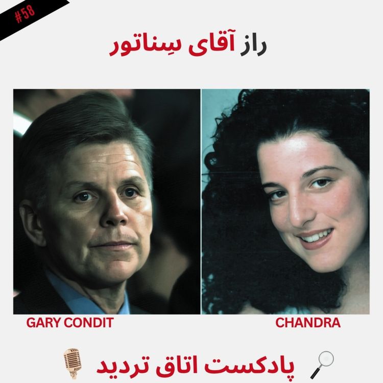 cover art for راز آقای سناتور