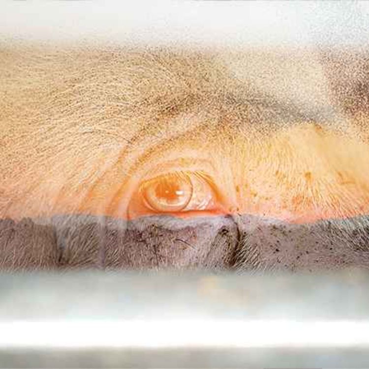 cover art for 19/09/2024 - Sarah Siré & Fabien Defendini et Valérie Chansigaud