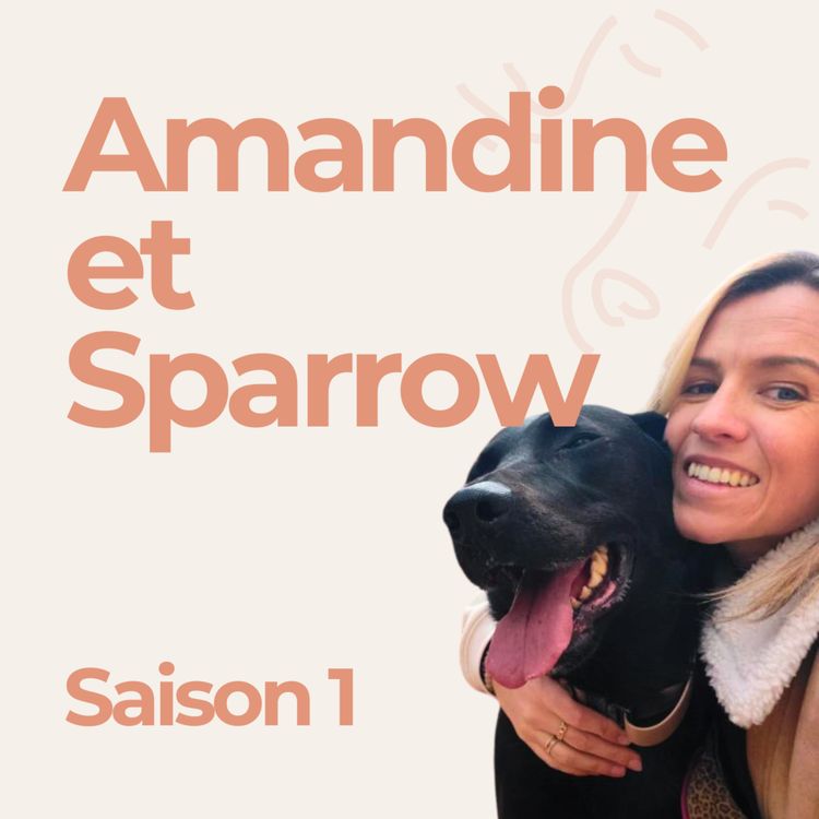 cover art for Amandine et Sparrow