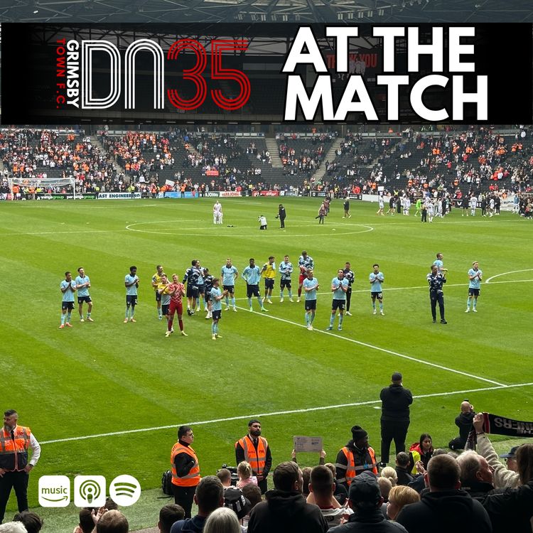 cover art for At The Match Franchise Away