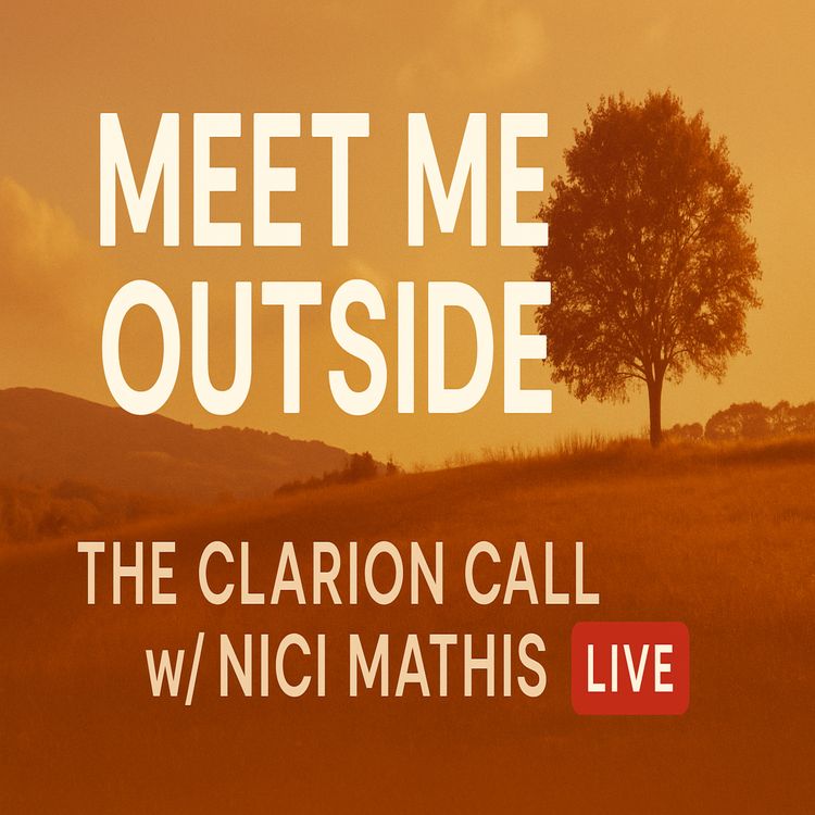cover art for Meet Me Outside