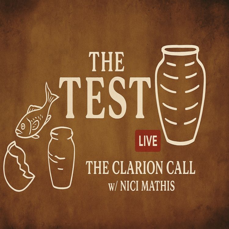 cover art for The Test