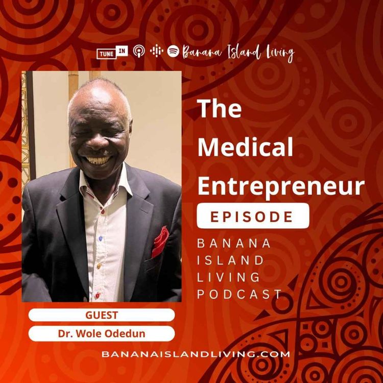 cover art for The Medical Entrepreneur