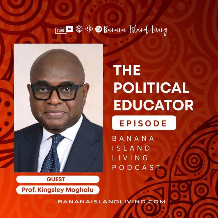 cover art for The Political Educator Episode