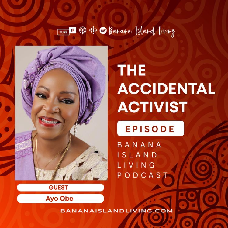 cover art for The Accidental Activist Episode