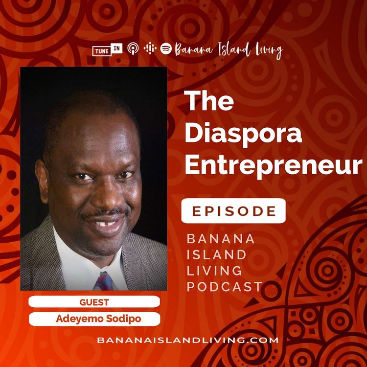 cover art for The Diaspora Entrepreneur