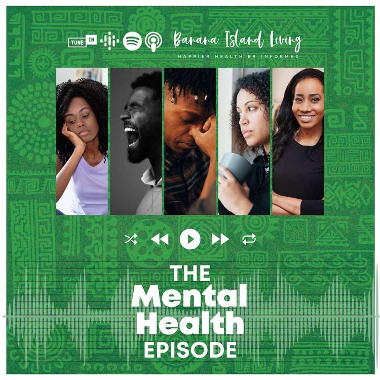 cover art for The Mental Health Episode