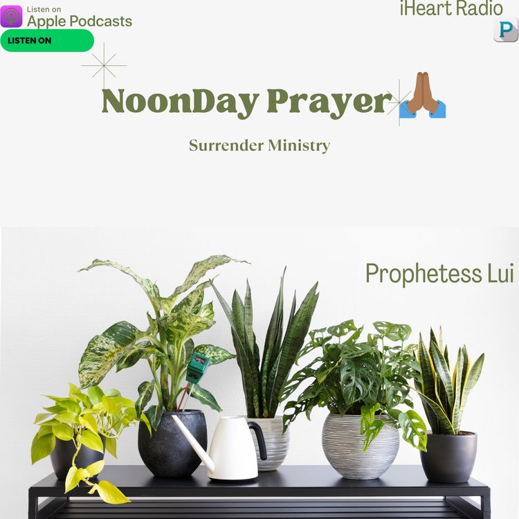 cover art for NoonDay Prayer #626