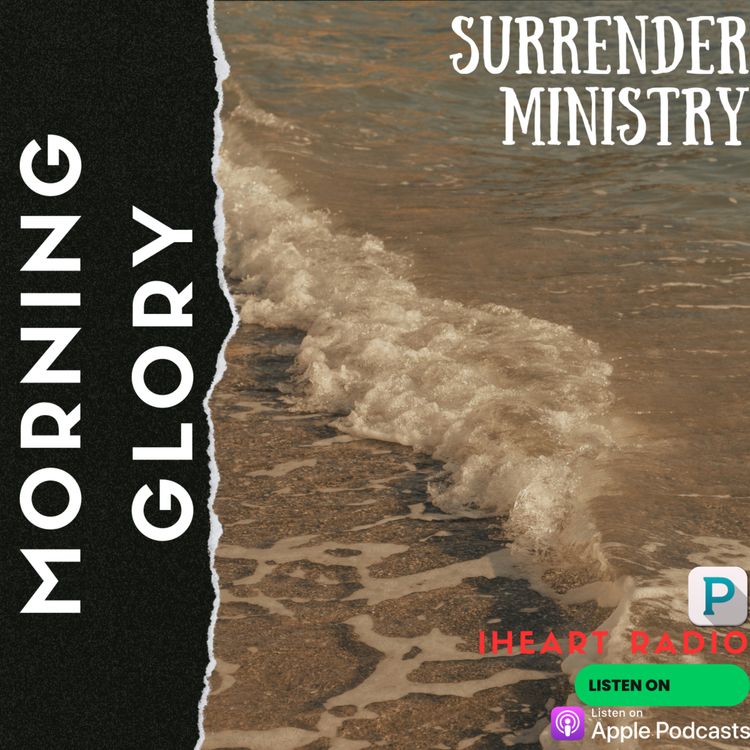 cover art for Morning Glory #4