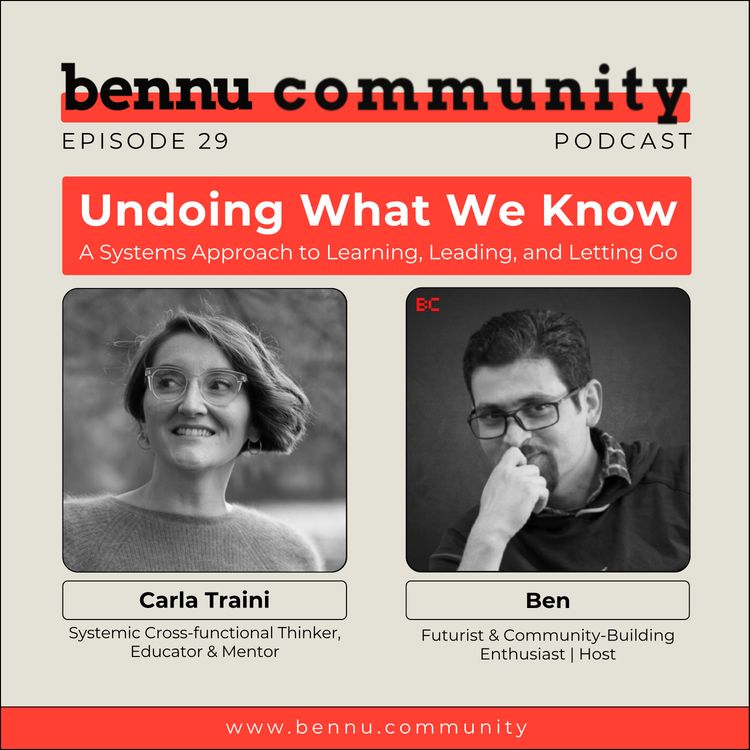 cover art for Undoing What We Know: A Systems Approach to Learning, Leading, and Letting Go
