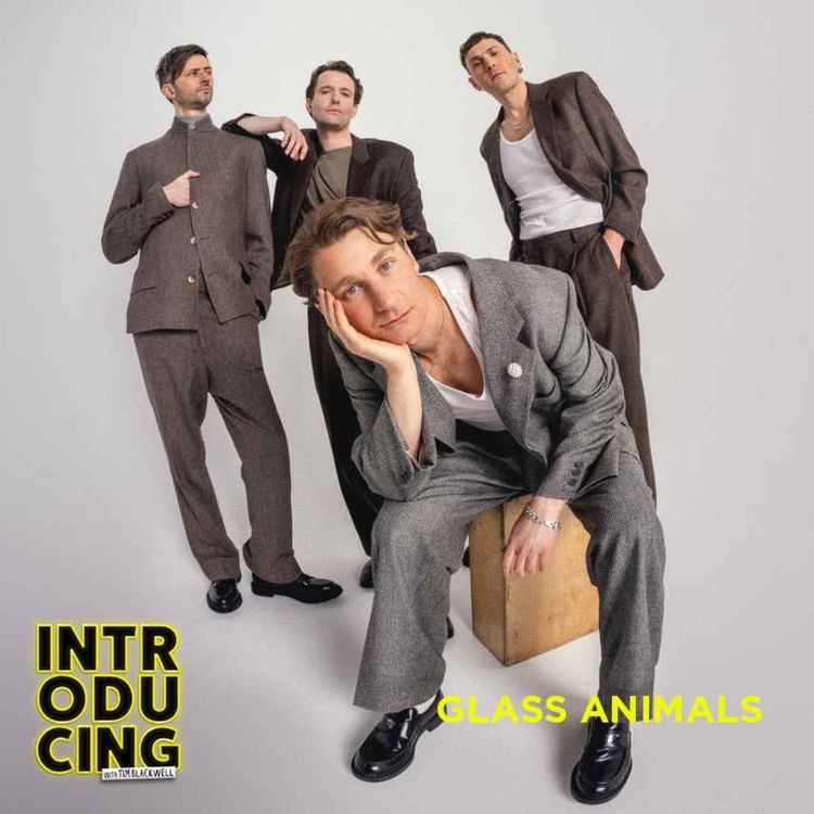 cover art for Glass Animals