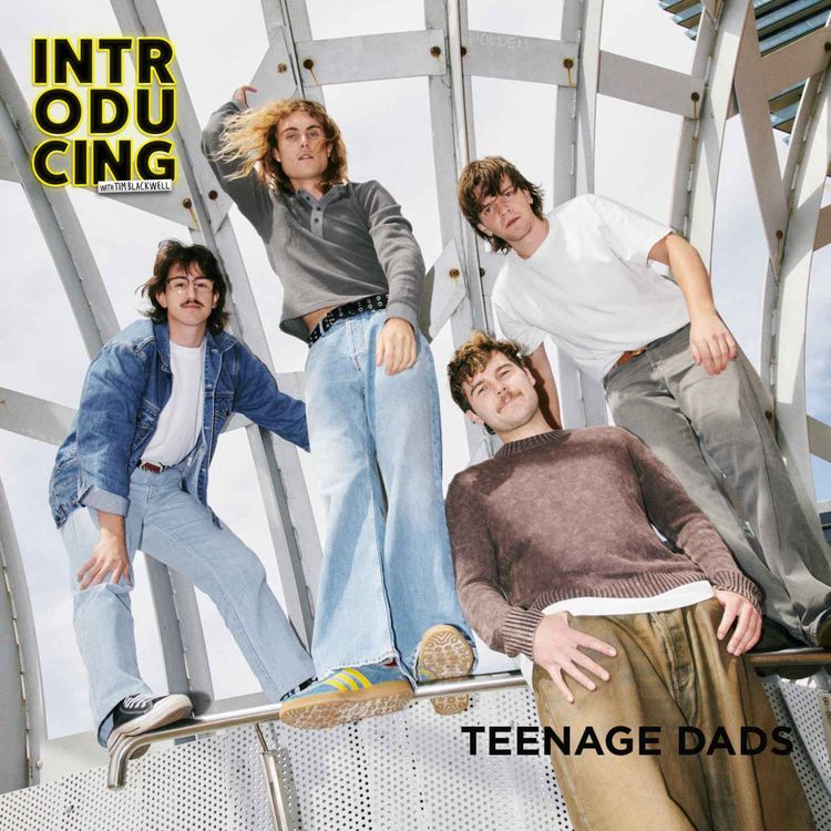 cover art for Teenage Dads