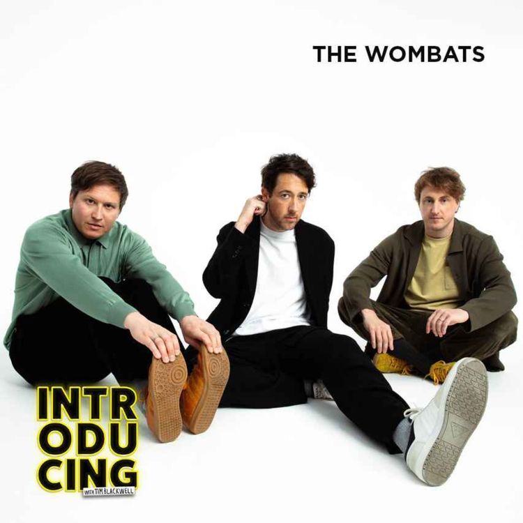 cover art for The Wombats