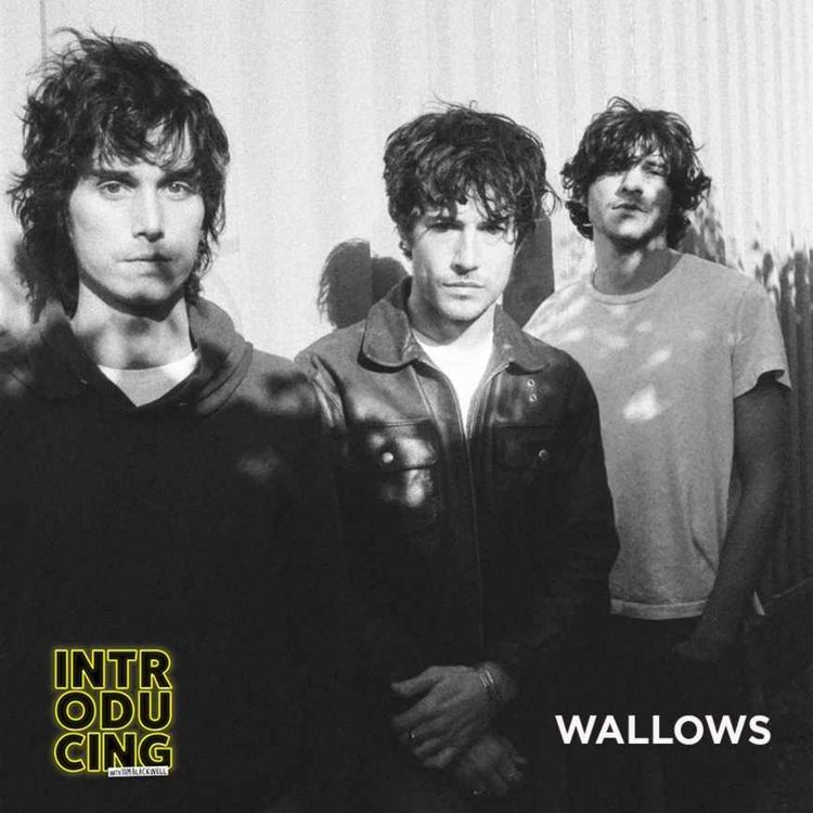 cover art for Wallows
