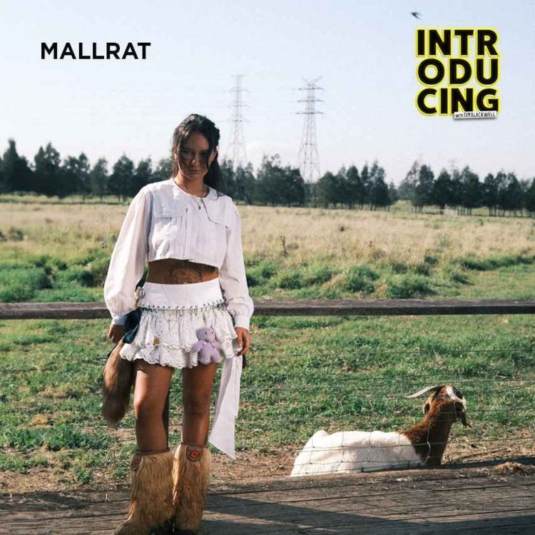 cover art for Mallrat