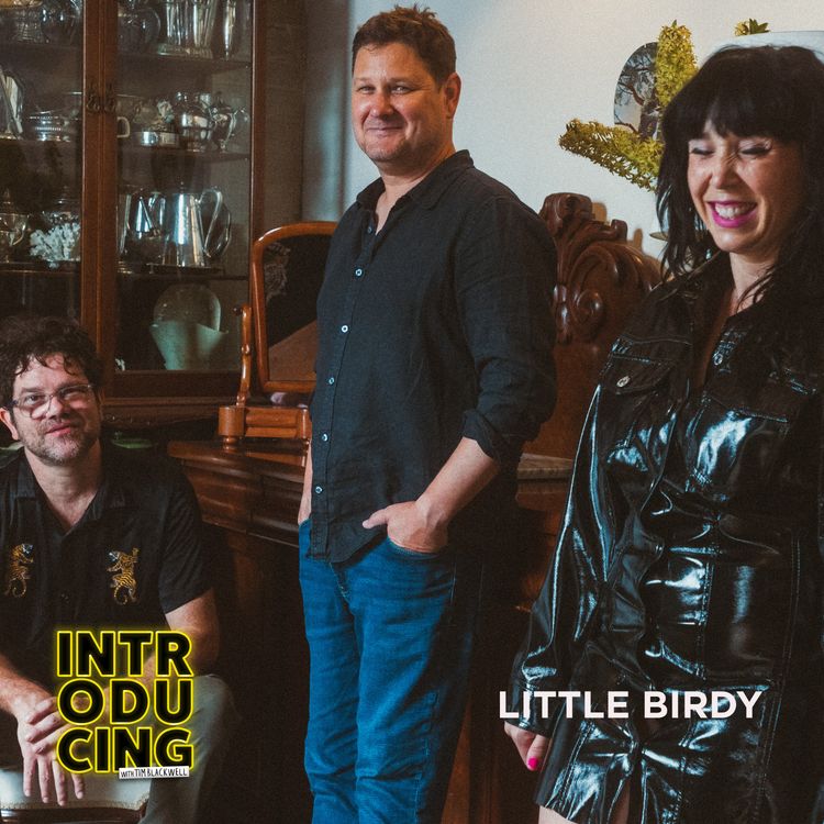 cover art for Little Birdy