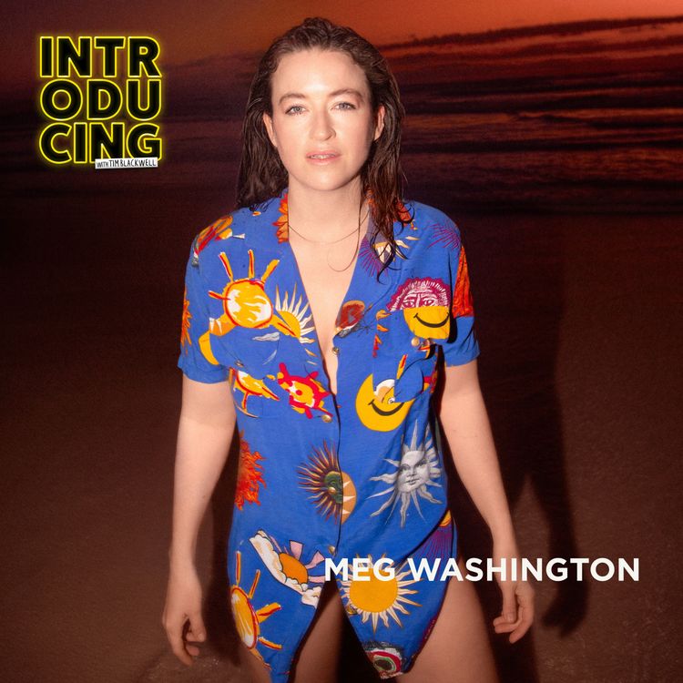 cover art for Meg Washington