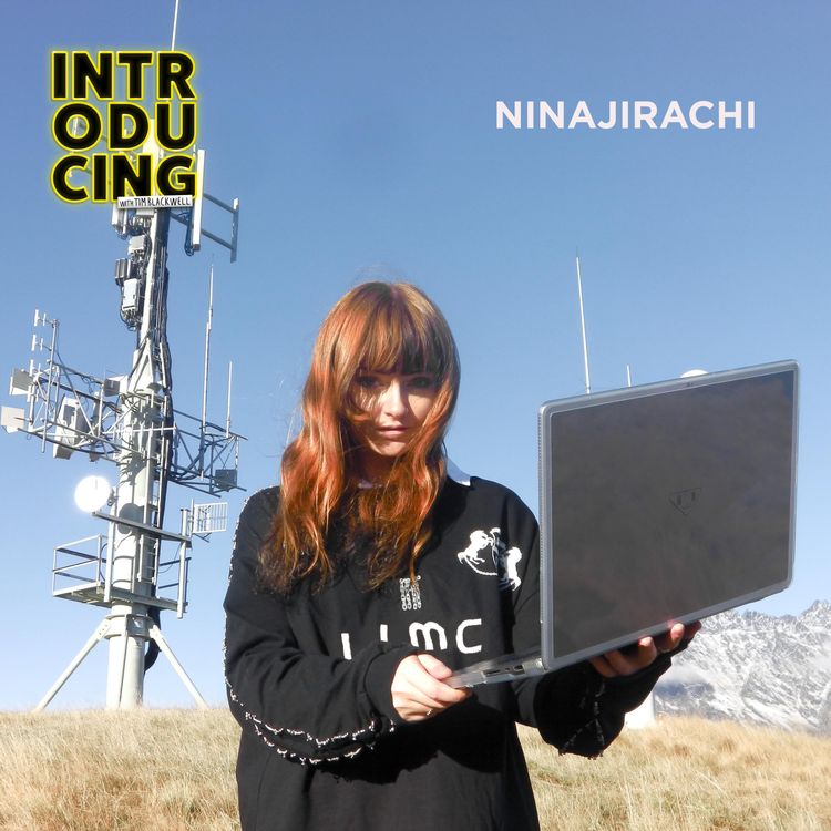cover art for Ninajirachi