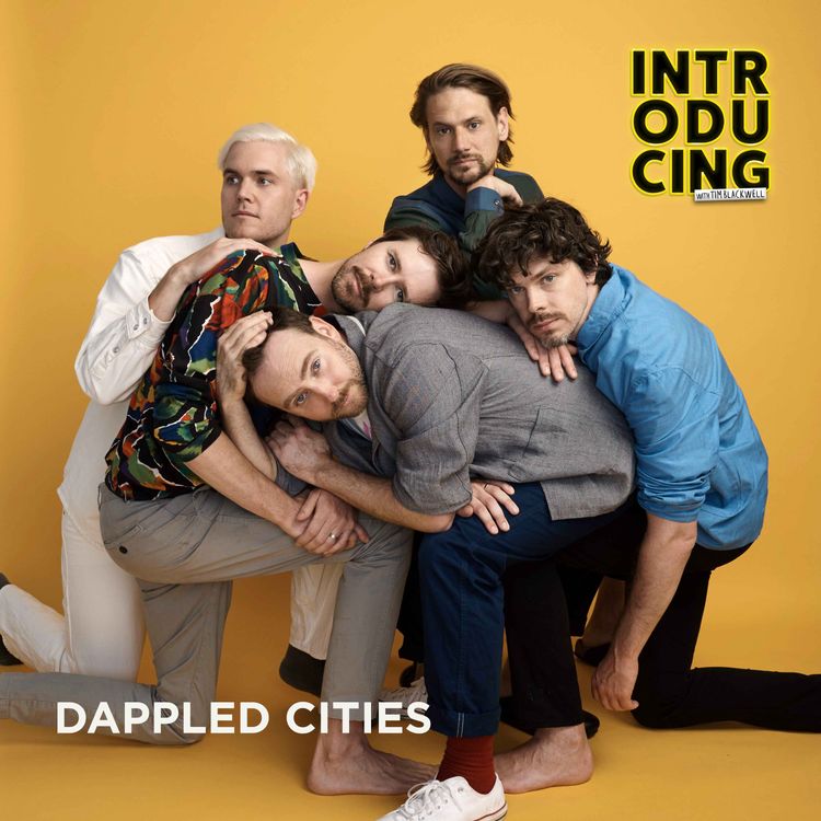 cover art for Dappled Cities