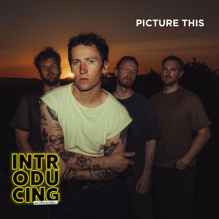 cover art for Picture This