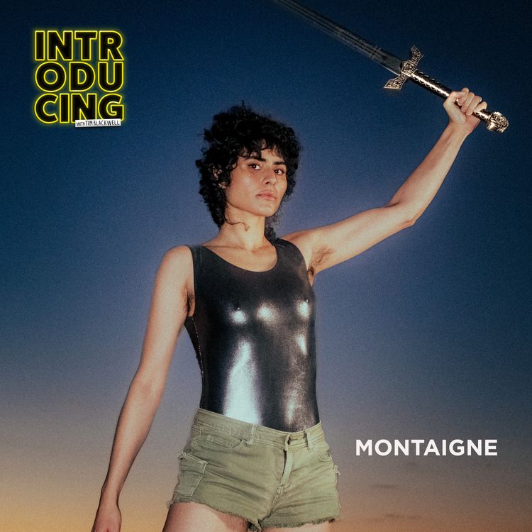 cover art for Montaigne