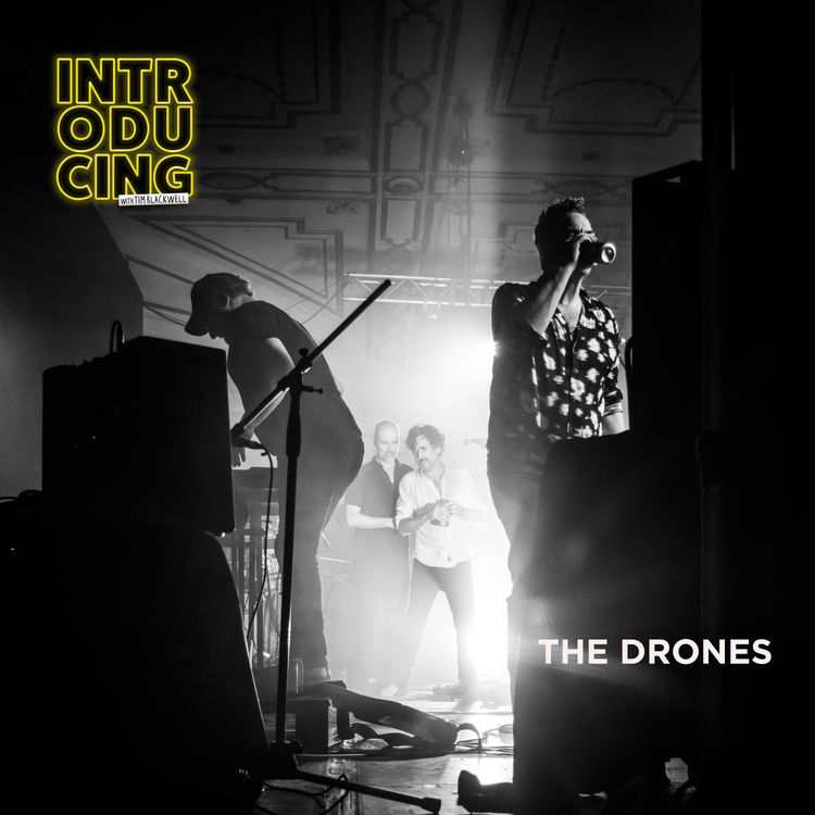 cover art for The Drones