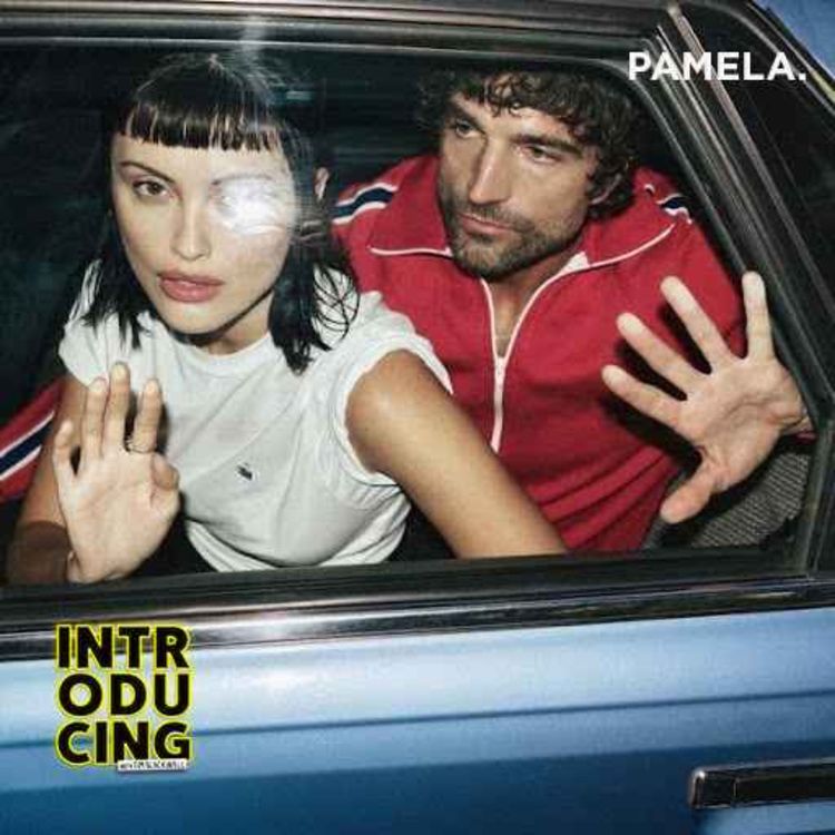 cover art for Pamela.