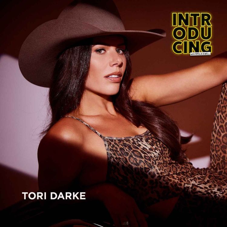 cover art for Tori Darke