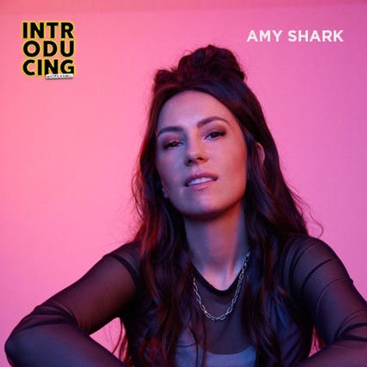 cover art for Amy Shark
