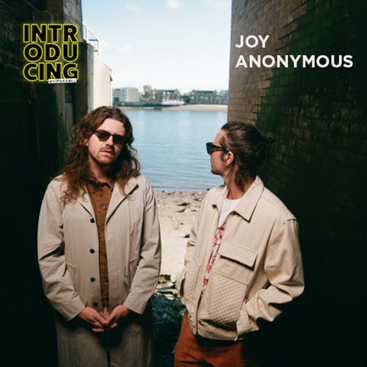cover art for Joy Anonymous