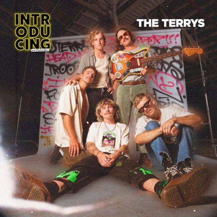 cover art for The Terrys