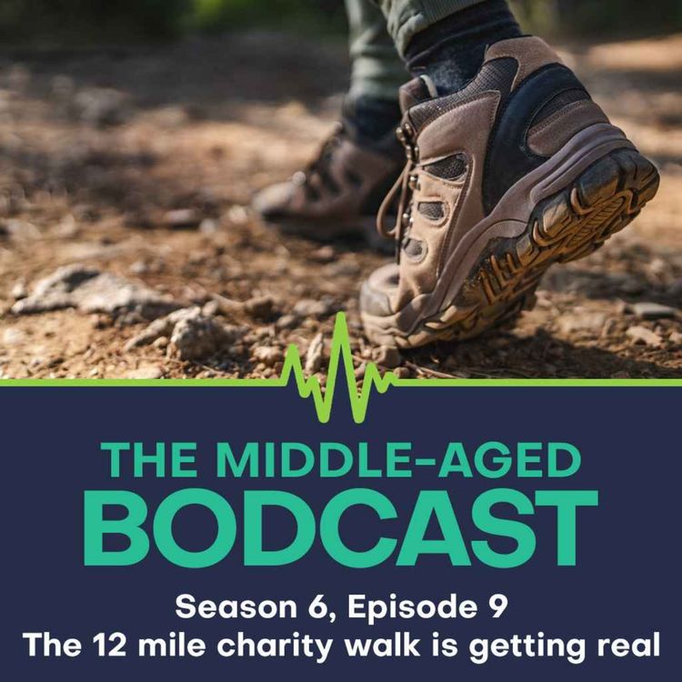 cover art for The 12 charity mile walk is getting real