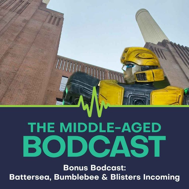 cover art for Battersea, Bumblebee & Blisters Incoming
