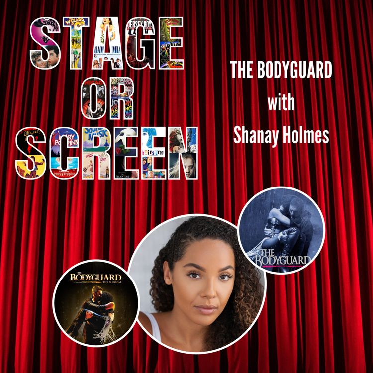 cover art for The Bodyguard