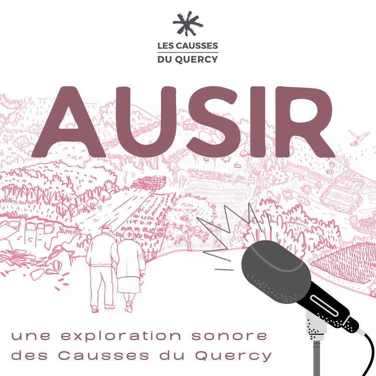 cover art for De pechs en combes