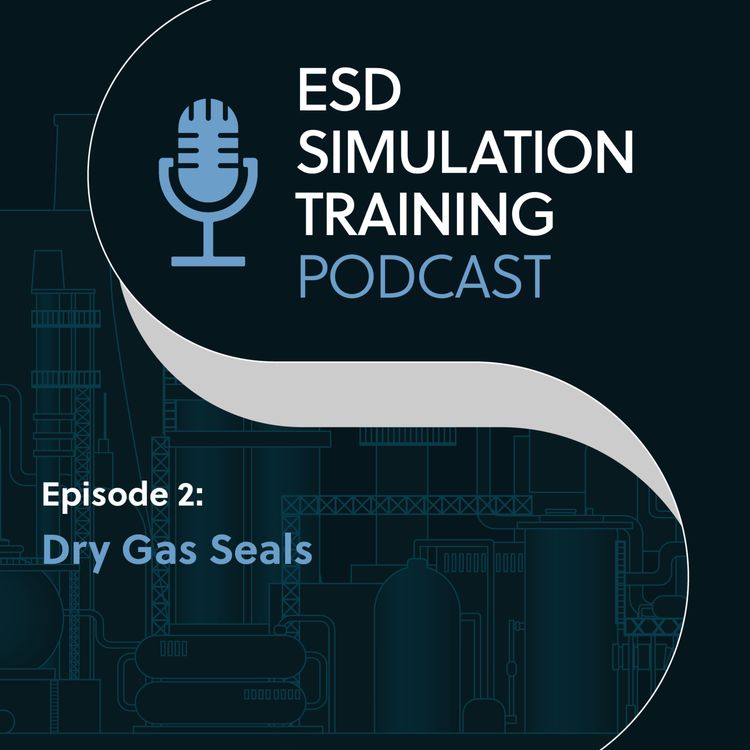 cover art for Dry Gas Seals