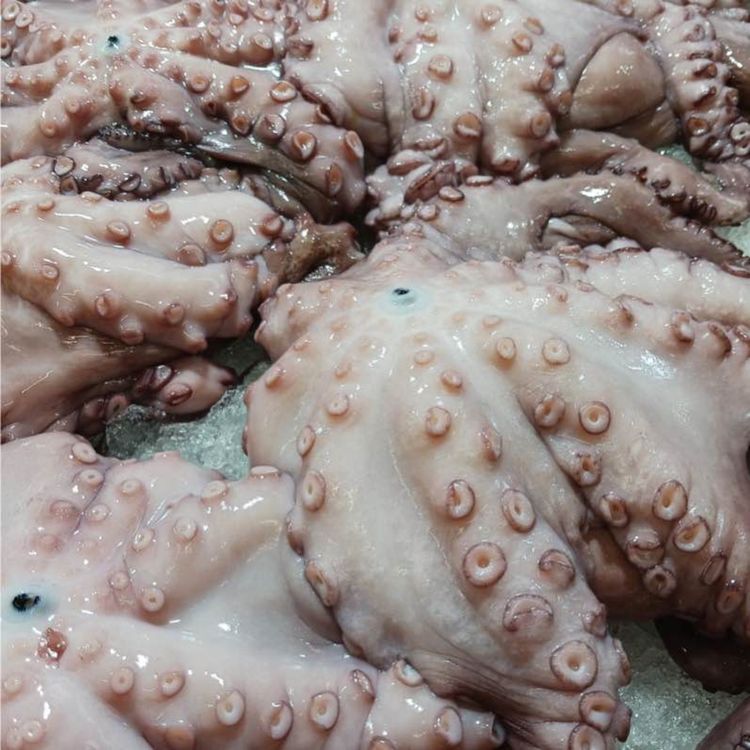 cover art for ROPA VIEJA DE PULPO (RECETA DE APROVECHAMIENTO)