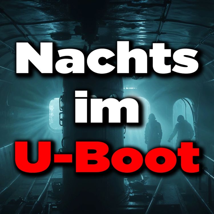 cover art for 8 WAHRE Horrorgeschichten die dir keine RUHE lassen!