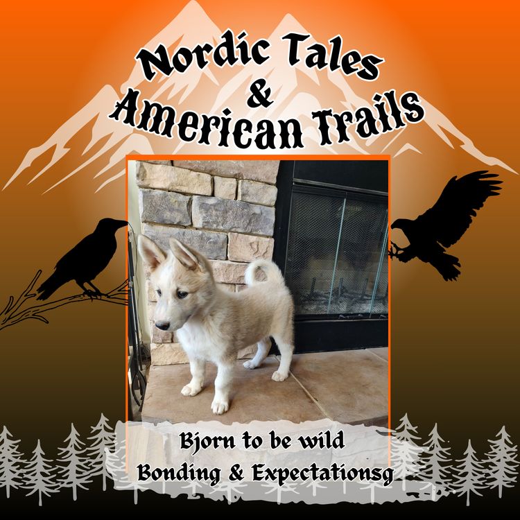 cover art for Bjorn to Be Wild – Episode 2 Bonding & Expectations