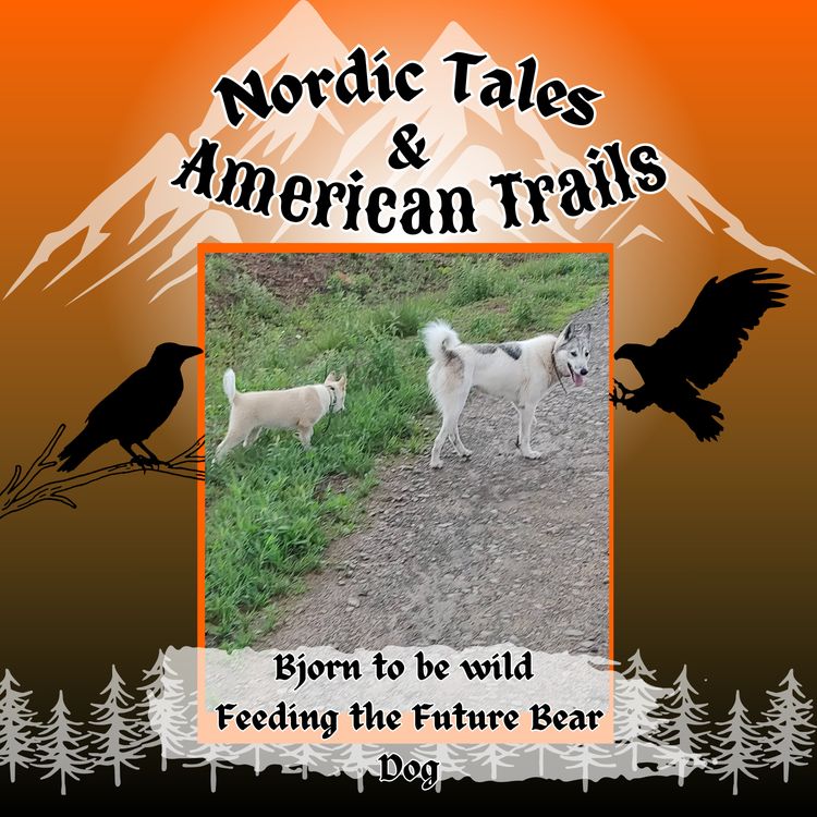 cover art for Bjorn to Be Wild – Feeding the Future Bear Dog