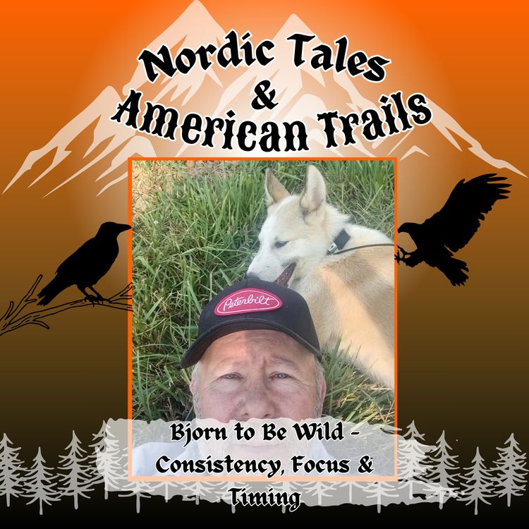 cover art for Bjorn to Be Wild – Consistency, Focus & Timing